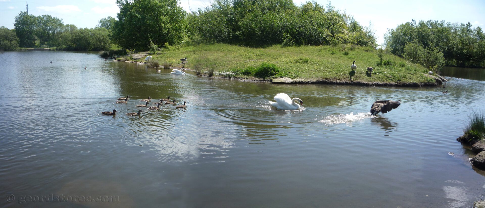 Part of a local walking trail. Has great health benefits 