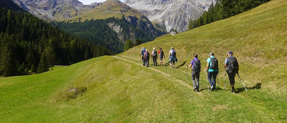 Hikers walking along country trail.
